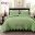SYAQIST - SUPER KING PREMIUM EMBROIDERY 3IN1 CURVE ( LIMITED EDITION) - APPLE GREEN